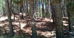 Lote en Pinamar en Venta, Barrio Villa Robles