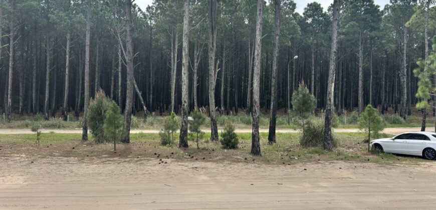 Departamento Alquiler Temporada 2026 en Pinamar.