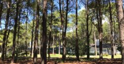 Lote en Barrio Bosques en venta. Pinamar Norte.