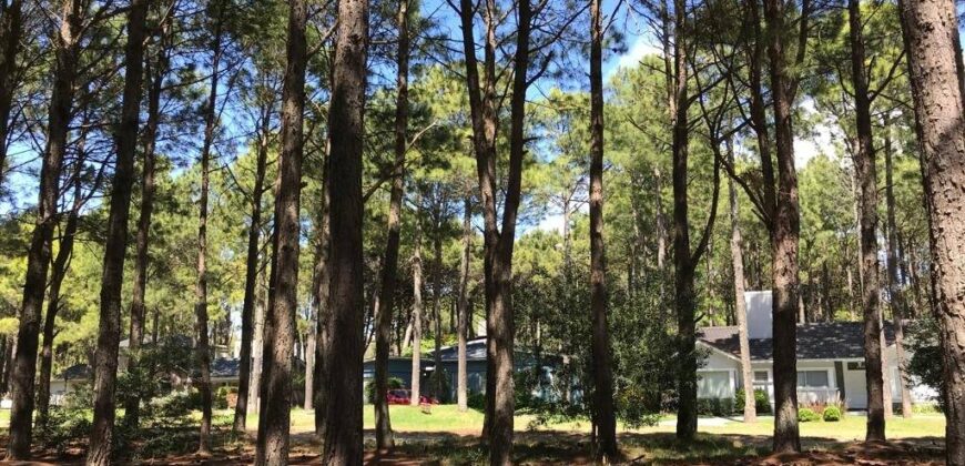 Lote en Barrio Bosques en venta. Pinamar Norte.