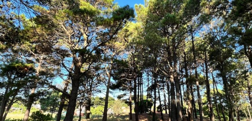 Lote en Barrio Bosques en venta. Pinamar Norte.