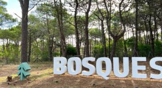 Lote en Barrio Bosques en venta. Pinamar Norte.