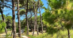 Lote en Barrio Bosques en venta. Pinamar Norte.