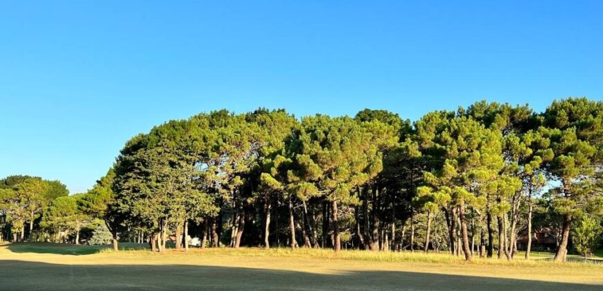 Lote en Barrio Bosques en venta. Pinamar Norte.