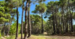 Lote en Barrio Bosques en venta. Pinamar Norte.