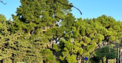 Lote en Barrio Bosques Pinamar en Venta