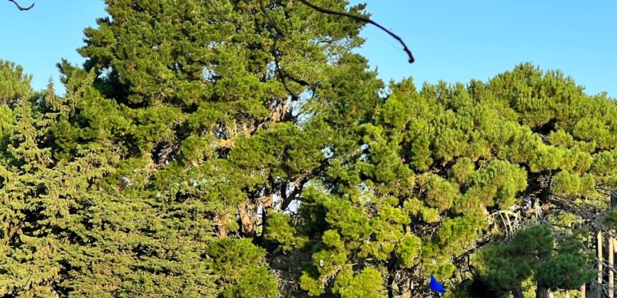 Lote en Barrio Bosques Pinamar en Venta