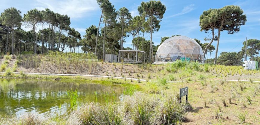 Lote en Barrio Bosques Pinamar en Venta