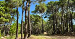 Lote en Barrio Bosques Pinamar en Venta