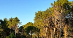 Lote en Barrio Bosques Pinamar en Venta