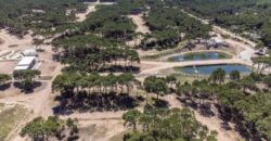 Lote en Barrio Bosques Pinamar en Venta