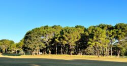 Lote en Barrio Bosques Pinamar en Venta