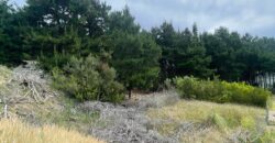 Lote en Costa Esmeralda Pinamar en Venta
