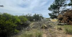 Lote en Costa Esmeralda Pinamar en Venta
