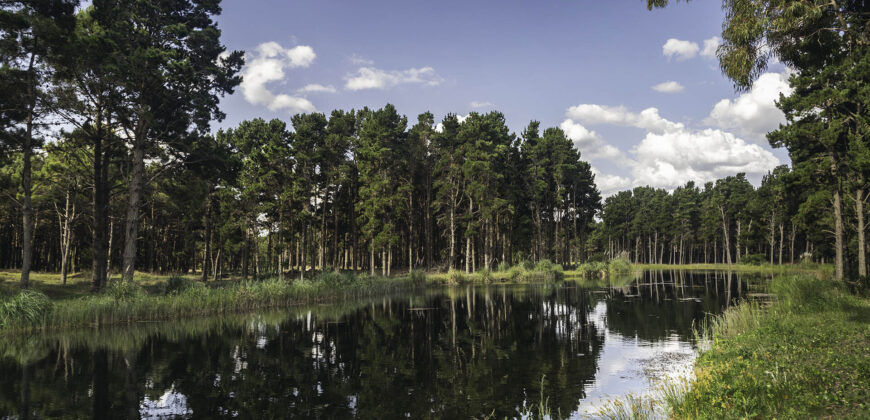 Departamento en Villa Robles en Venta